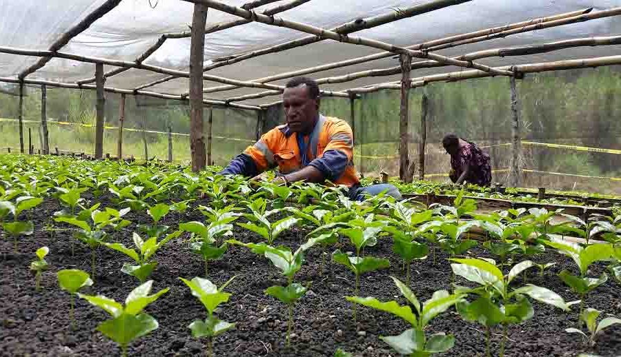 Changes to Mining Legislation Will Endanger Small Businesses and Communities Throughout PNG