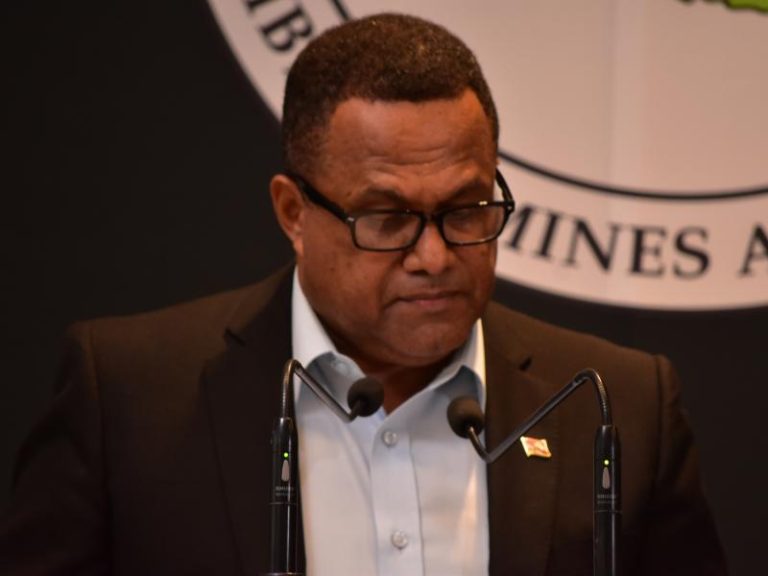 PNG Mining and Petroleum 1st Webinar Series 2021