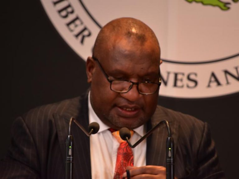 PNG Mining and Petroleum 1st Webinar Series 2021