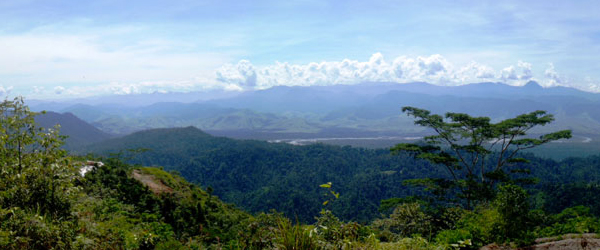 Forested hills of the Wafi-Golpu project area