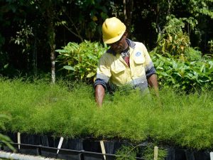 Mining project in Papua New Guinea
